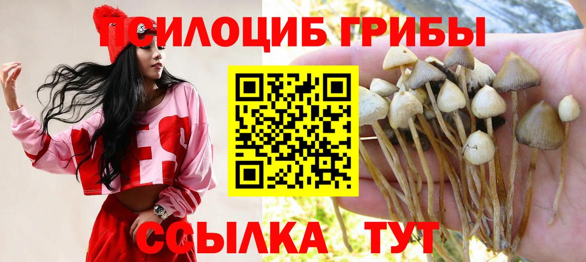 Псилоцибиновые грибы Psilocybine cubensis  Вход с VPN  Дербент 