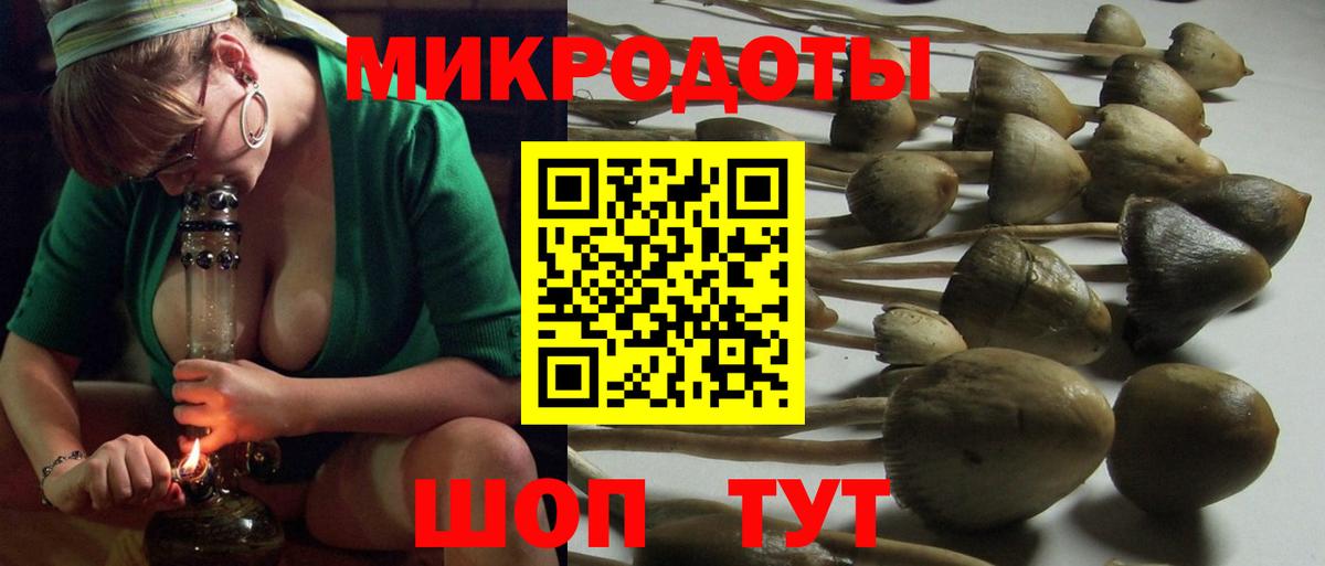 Псилоцибиновые грибы MAGIC MUSHROOMS Дербент